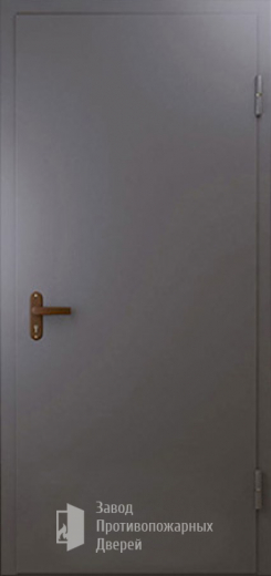 Фото двери «Техническая дверь №1 однопольная» в Твери